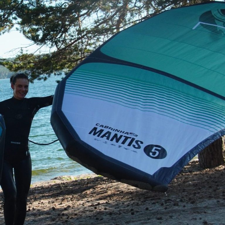 Wing der im Wind gehalten wird Wing der im Wind gehalten wird